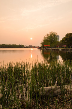 汾湖赏夕阳
