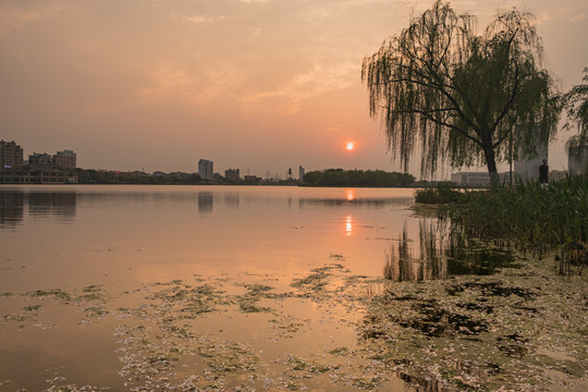 夕阳下的汾湖