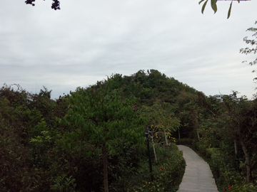 山间登山道