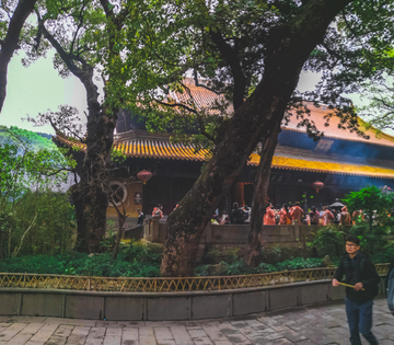 普陀山风景 普济寺