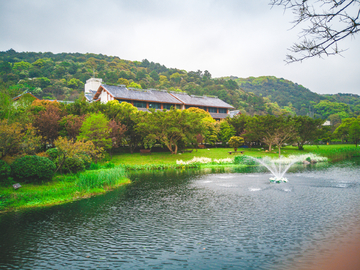 普陀山风景