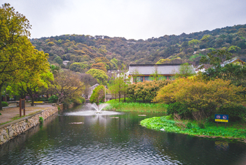 普陀山风景