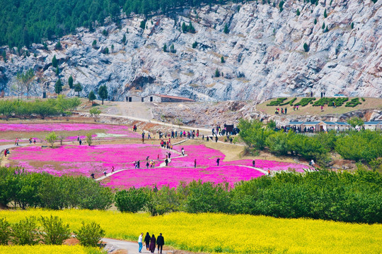 吕梁圣人窝油菜花地