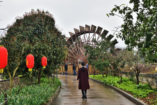 春天风景 春天 游乡村