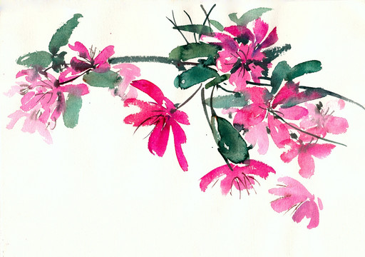 粉紅色花叢