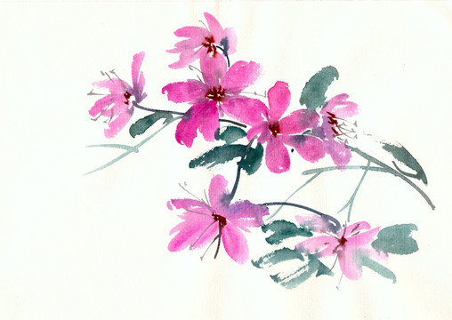 綻放的小花