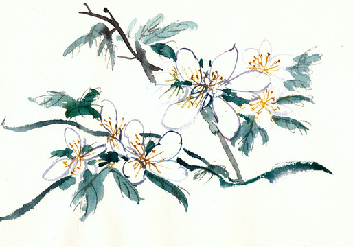 梨花