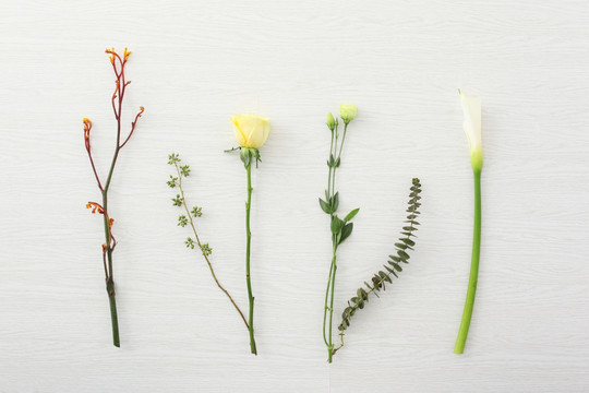 鲜花花束手捧花花卉