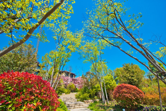 汉王镇月亮湾景区