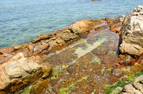 海边 礁石 岩石