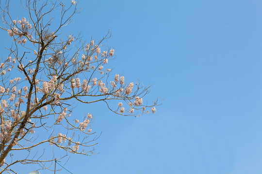 蓝色天空