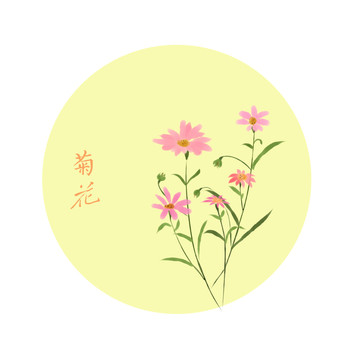 菊花