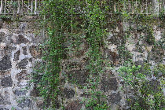 砖墙纹理 建筑 门窗