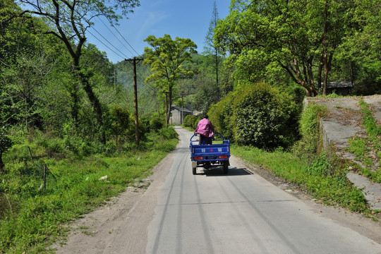 乡村道路