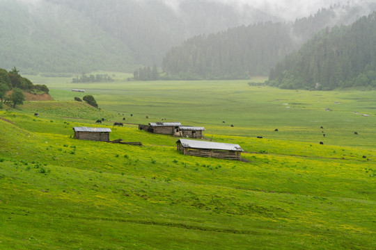 高原