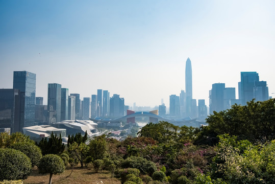 深圳莲花山