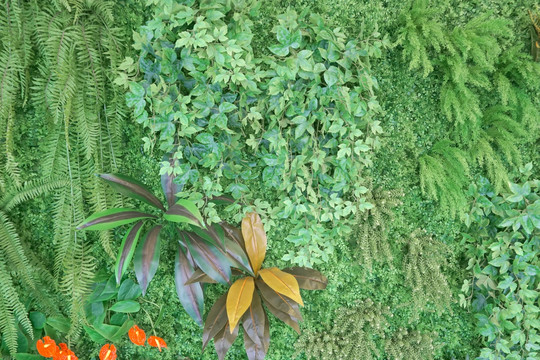 植物墙 装饰墙 室内装饰艺术