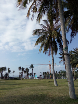 海边风景