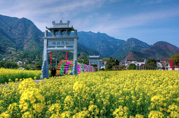 浙江兰溪芝堰村牌楼油菜花