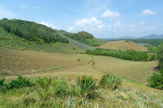 山岗之上