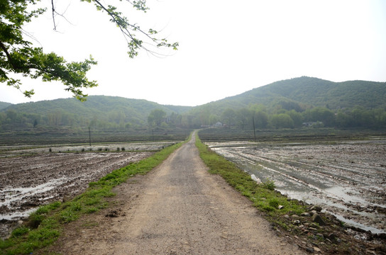 山间小路