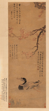 明 陸治 紅杏野鳧圖