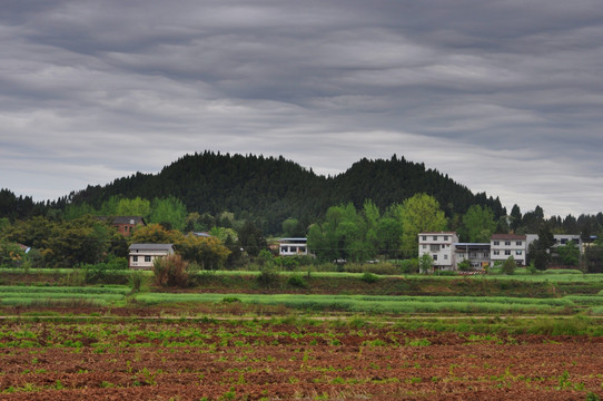 田园风景