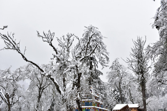 海螺沟 贡嘎山 雪山