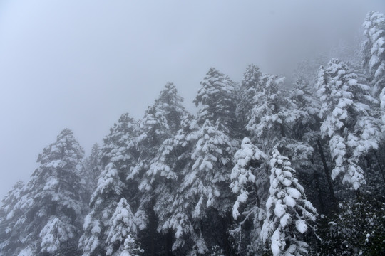 海螺沟 贡嘎山 雪景 冰雪