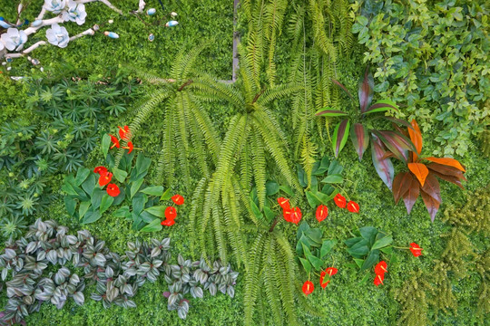 植物墙 装饰墙 室内装饰艺术