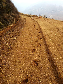 脚印黄土地修路