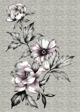 手繪素描水彩花