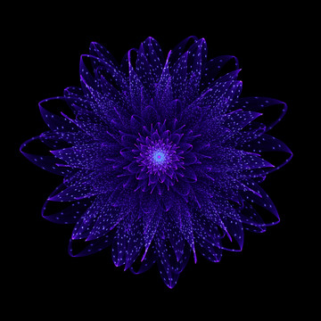 分形花