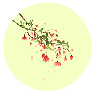 垂絲海棠
