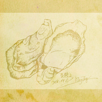 原創(chuàng)生蠔手繪