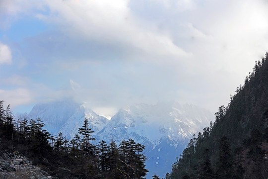 波托峡谷雪与松