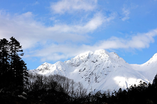 波托峡谷雪与松