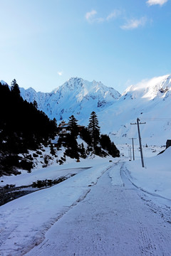 波托峡谷雪与松