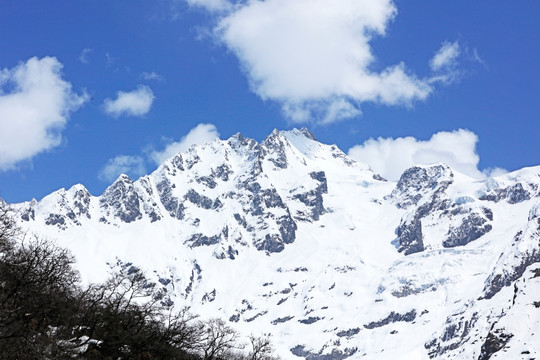 波托峡谷雪与松