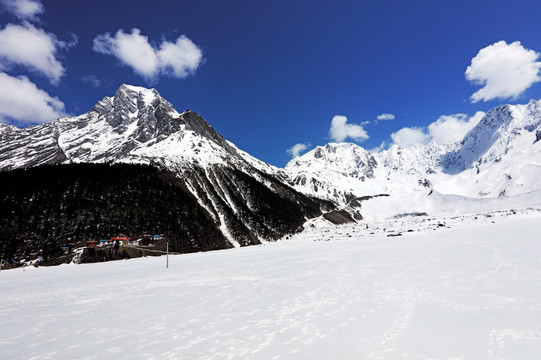 波托峡谷雪与松