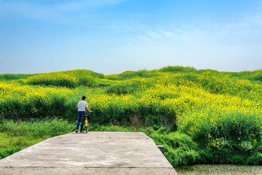 田野风光