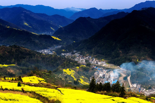 皖南山村油菜花开