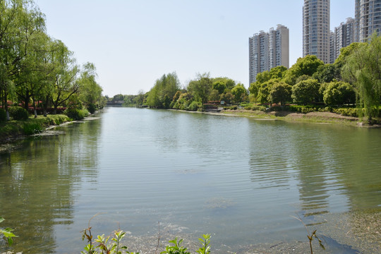 春天湖景