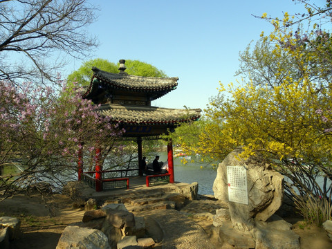 康熙36景 芳禇临流