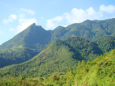 鹦歌岭