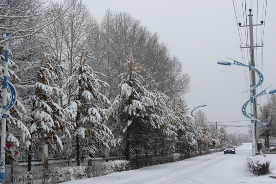 阳春白雪