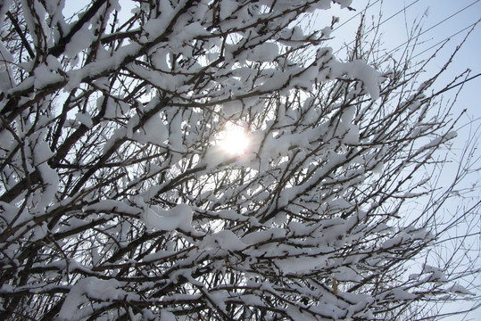 阳春白雪