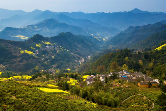 皖南山村油菜花开