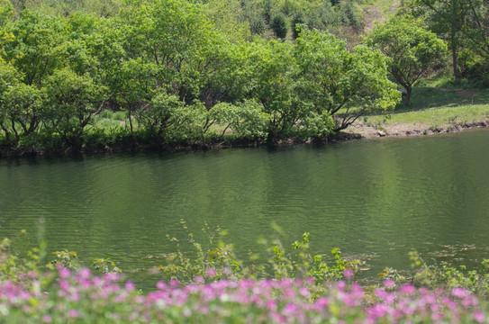 田园田野 青山绿水