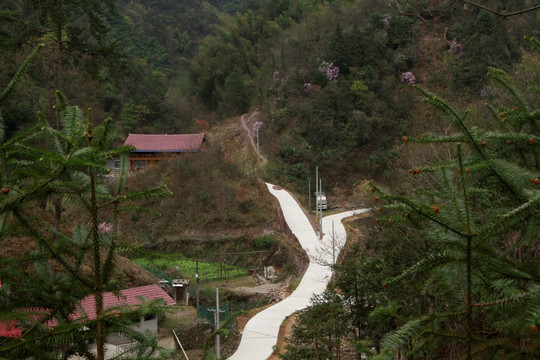 乡村公路